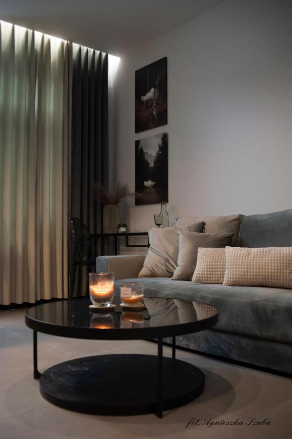 Grey Apartamenty Przy Skoczni & Ski Bus Szczyrk Εξωτερικό φωτογραφία